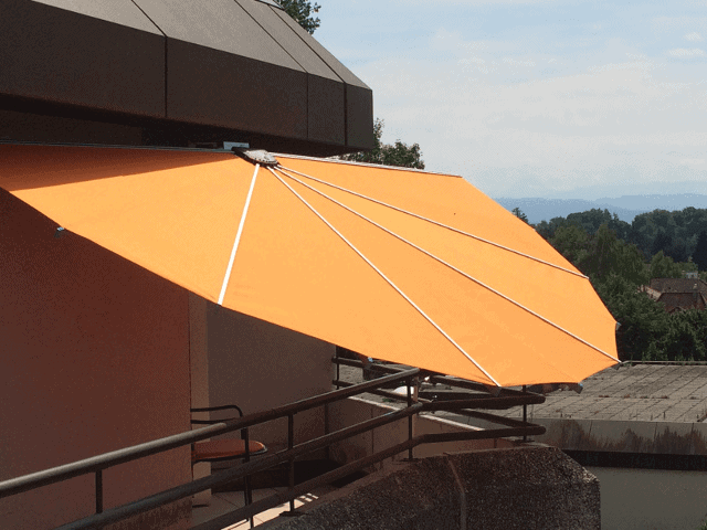 Belalatus® ten - Imagen 19