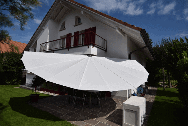 Belalatus® ten - Imagen 20