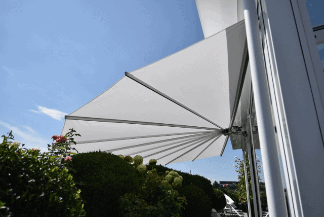 Belalatus® ten - Imagen 14