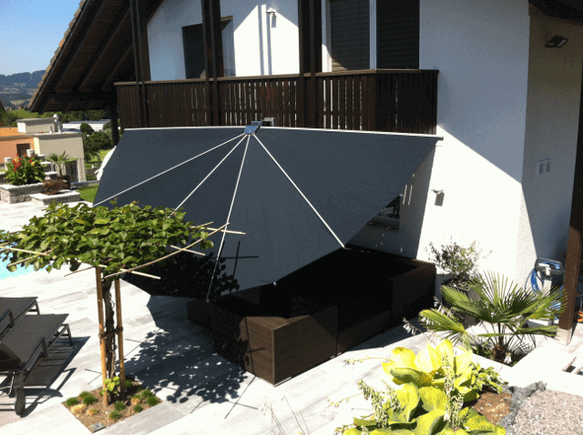 Belalatus® ten - Imagen 28