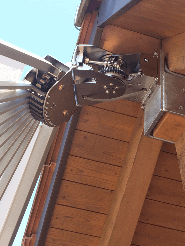 Belalatus® ten - Imagen 26