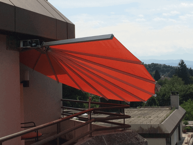 Belalatus® ten - Imagen 16