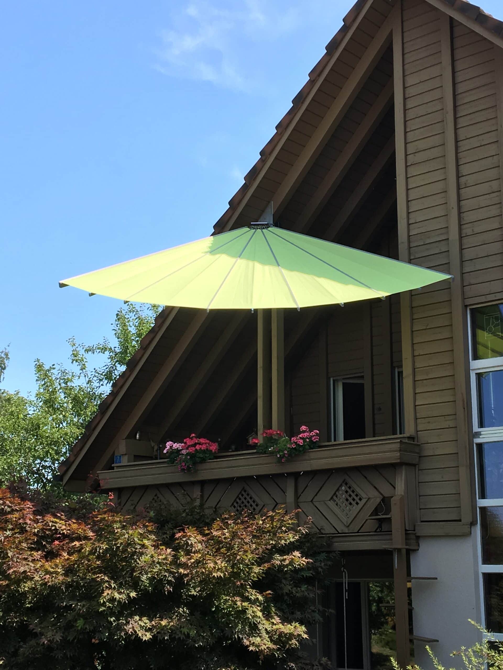 Belalatus® ten - Imagen 23