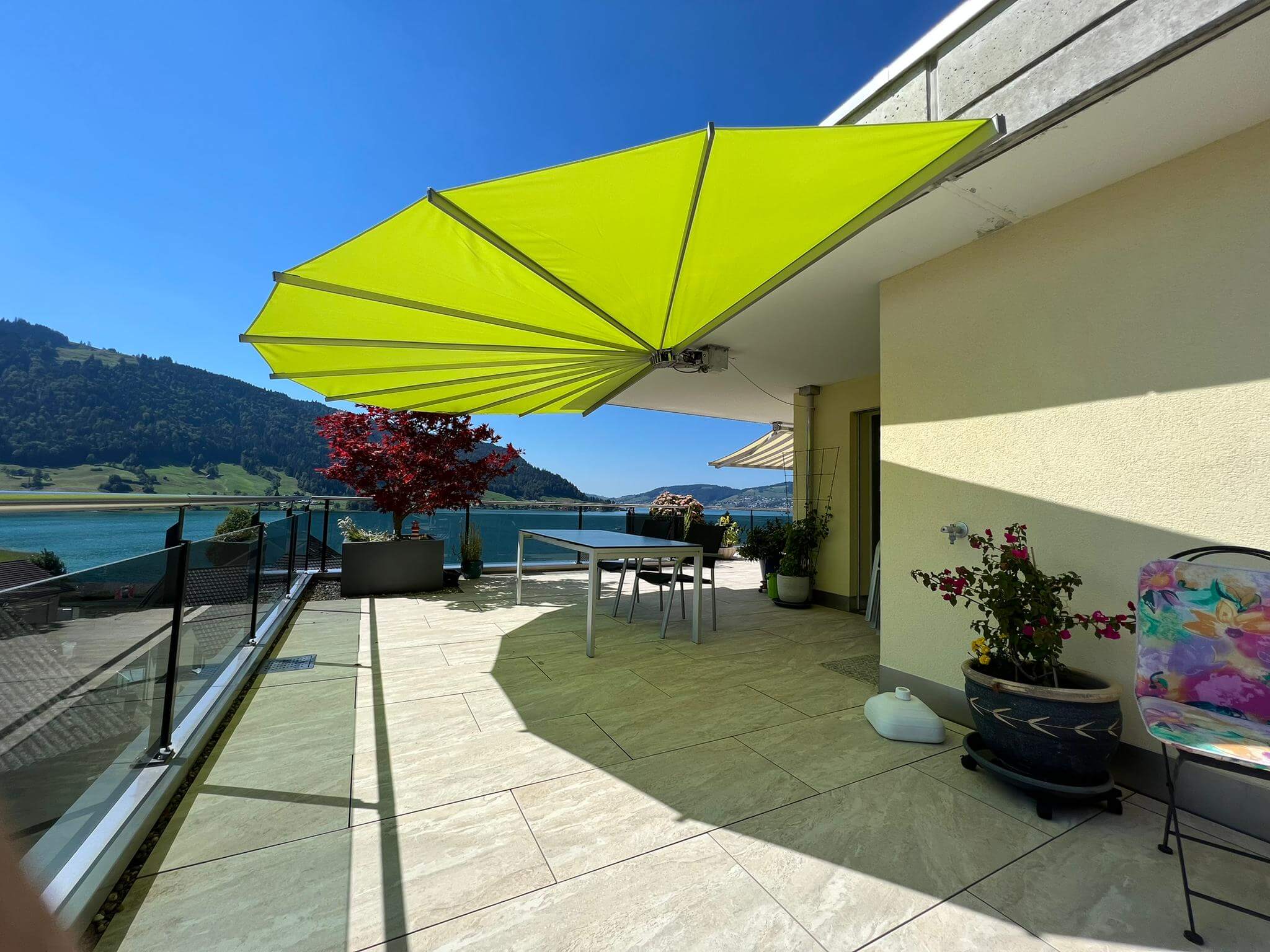 Belalatus® ten - Imagen 4