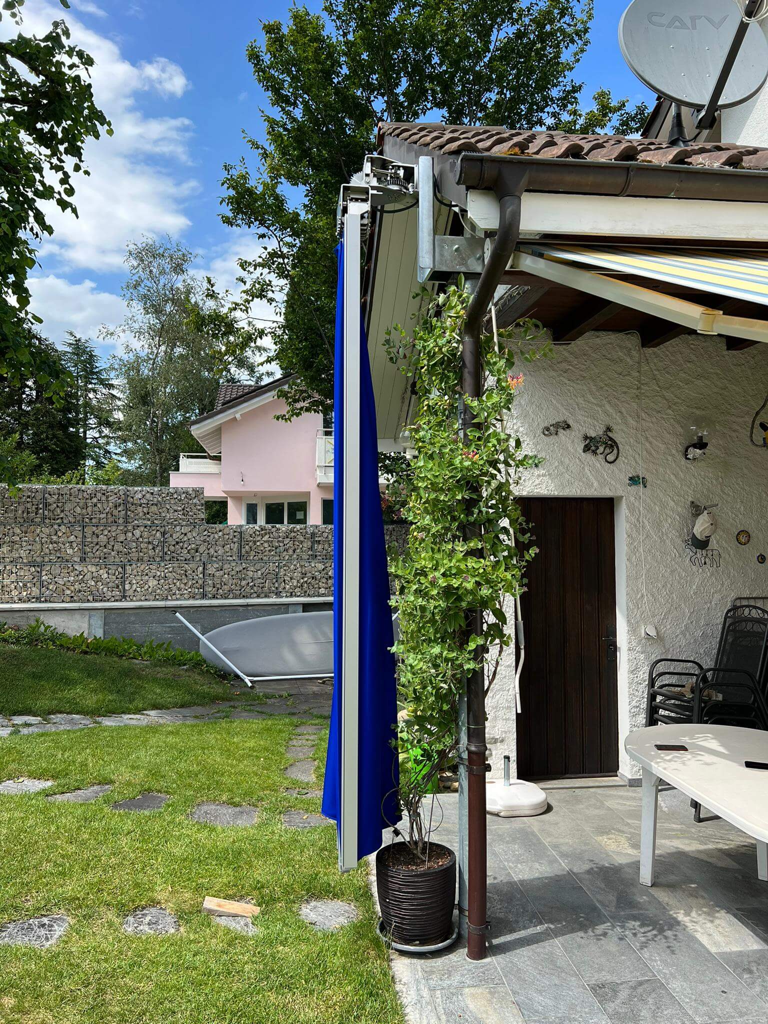 Belalatus® ten - Imagen 8